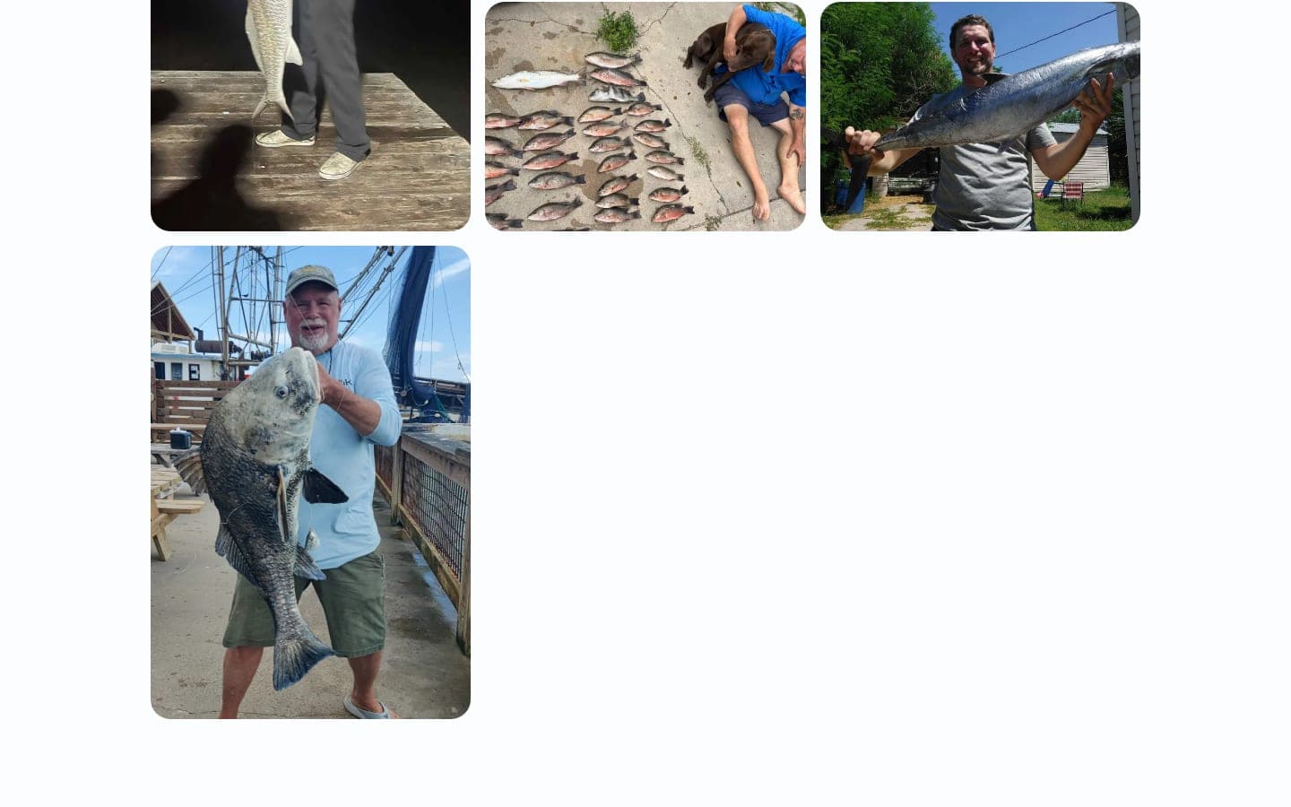 A gallery that shows the catch
